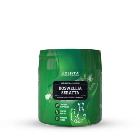 HOLISTAPets - Boswellia Serrata 100g - na stawy dla psów i kotów